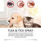 🔥Limited Time Promotion 50% OFF🐶🐱Natural Flea & Tick Spray for Dogs and Cats