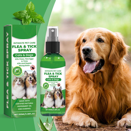 🔥Limited Time Promotion 50% OFF🐶🐱Natural Flea & Tick Spray for Dogs and Cats