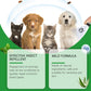 🔥Limited Time Promotion 50% OFF🐶🐱Natural Flea & Tick Spray for Dogs and Cats