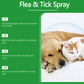 🔥Limited Time Promotion 50% OFF🐶🐱Natural Flea & Tick Spray for Dogs and Cats