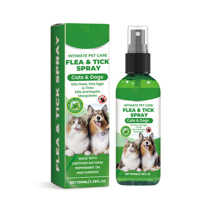 🔥Limited Time Promotion 50% OFF🐶🐱Natural Flea & Tick Spray for Dogs and Cats