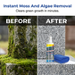 🎉Hot Sale 50% OFF🎉🎁Headstone Restoration & Cleaning Spray